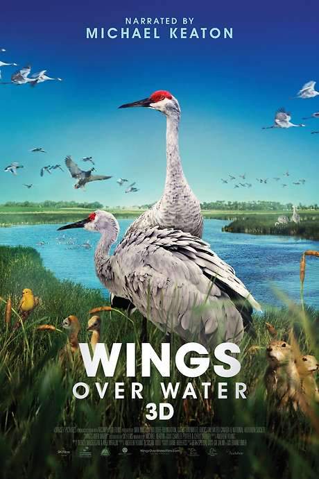 Wings Over Water